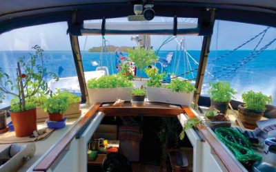 Növény és élelmiszertermelés hajókon, vitorlásokon