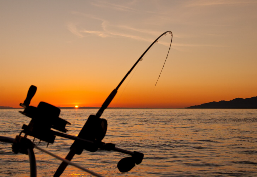 tengeri-horgaszat